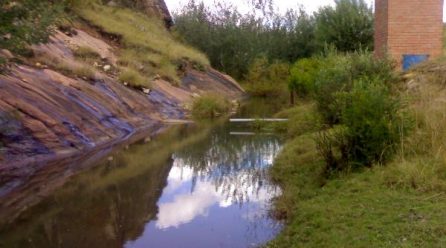 ORASECOM participates in the 13th International RiverSymposium