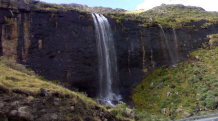 Training on Aquatic Ecosystem Health Monitoring