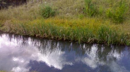 Visit of the Nile Equatorial Subsidiary Action Plan group