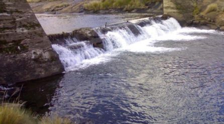 ORASECOM comes of age at 10!