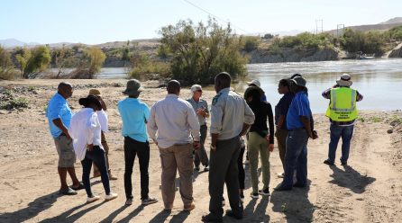 Namibia prepares for combating Prosopis
